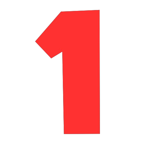 1Flex official logo